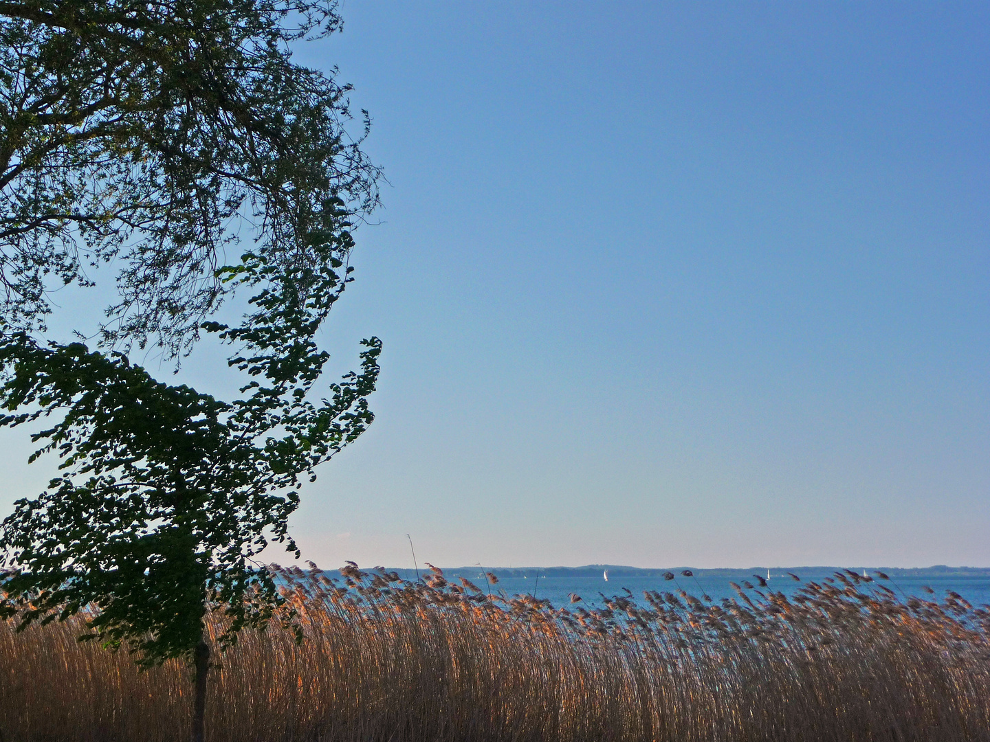 Ostwind am Chiemsee