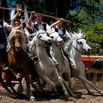 Oswald von Wolkenstein Ritt, Südtirol Seis 2008