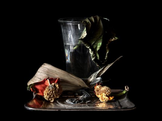 O.T. 2019 fine art print 50x70cm