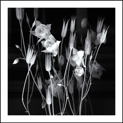 [o.T.-F-HTh-25-06-03]