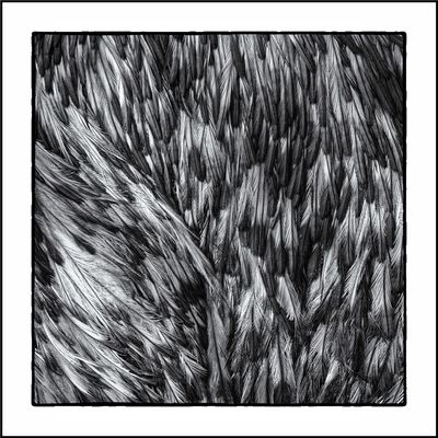 [o.T.-F-HTh-DSC06700]