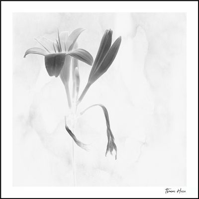 [o.T.-ScF-HTh-2025-06-03-0005]