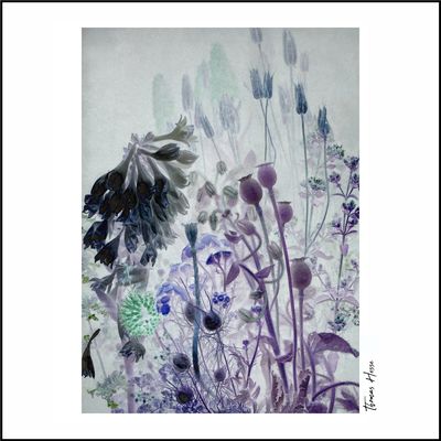 [o.T.-ScF-HTh 2025-07-11-0001]