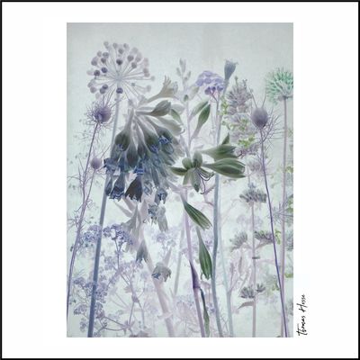 [o.T.-ScF-HTh-2025-07-11-0002]