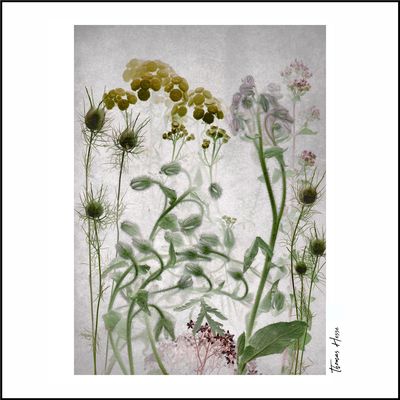 [o.T.-ScF-HTh-2025-07-11-0004-2]