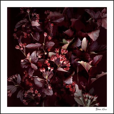 [o.T.-ScF-HTh 2025-07-11-0006]