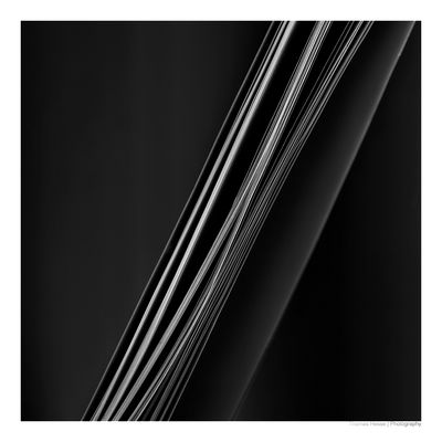 [o.T.-ScF-HTh-49752371702]