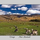 Otago 2