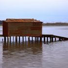 Otago Boatshed (Allans Beach Rd/Hoopers Inlet)