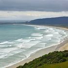 Otago Coastline