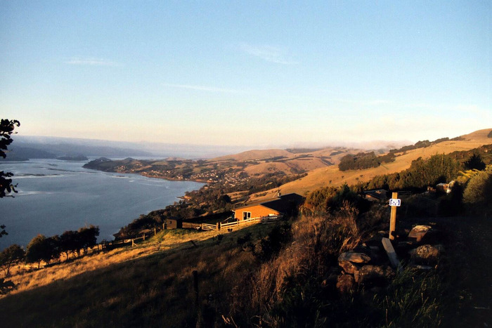 Otago Halbinsel bei Dunedin