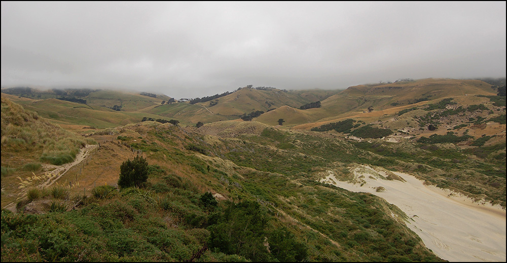 Otago Peninsula