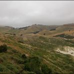 Otago Peninsula