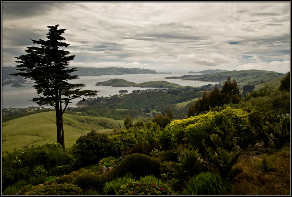 Otago Peninsula