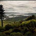 Otago Peninsula