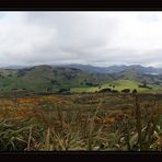 Otago Peninsula