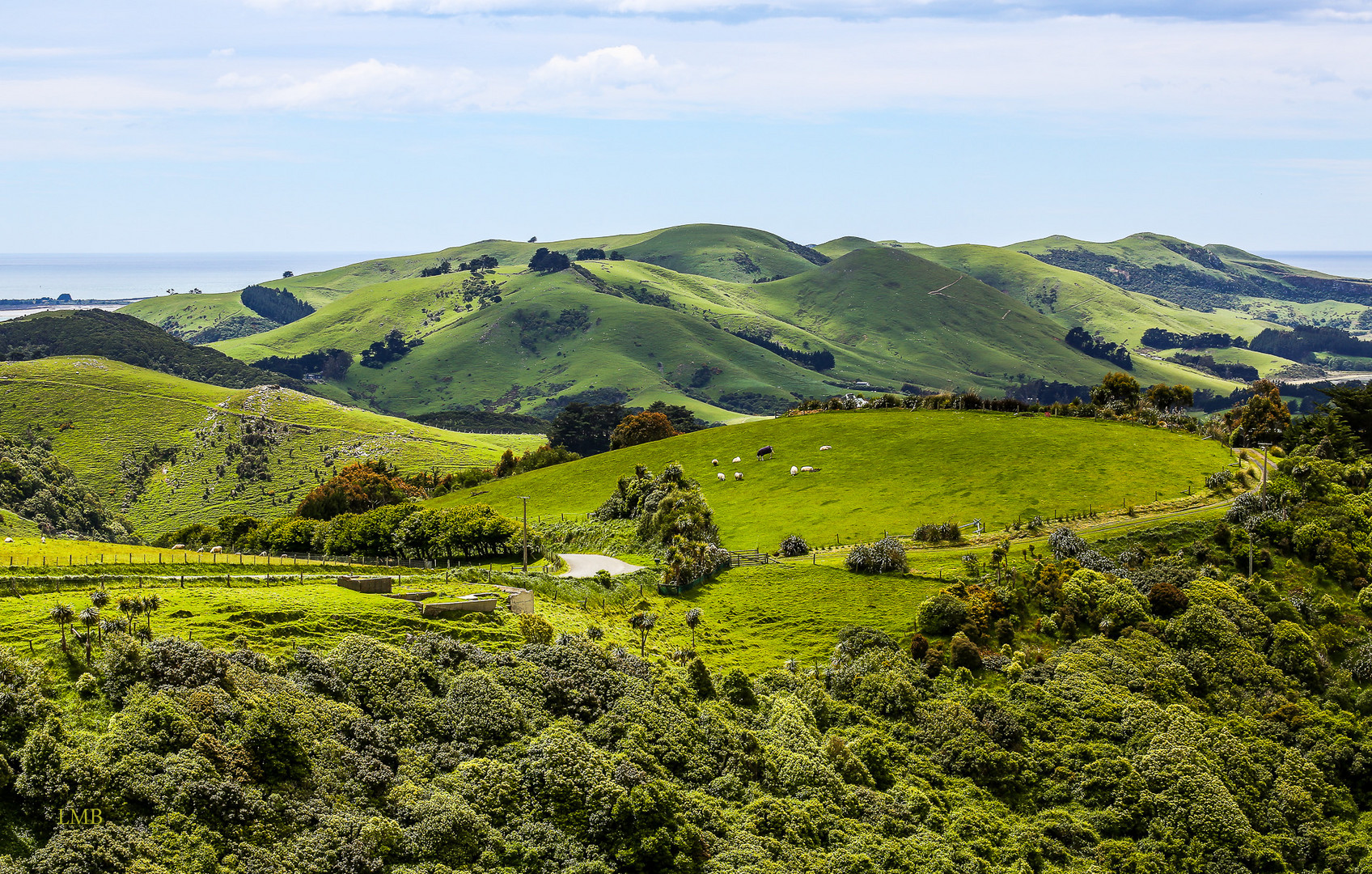 Otago Peninsula