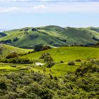 Otago Peninsula