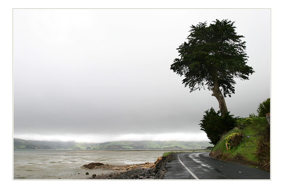 Otago Peninsula