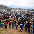 Otavalo - Mercato [1]