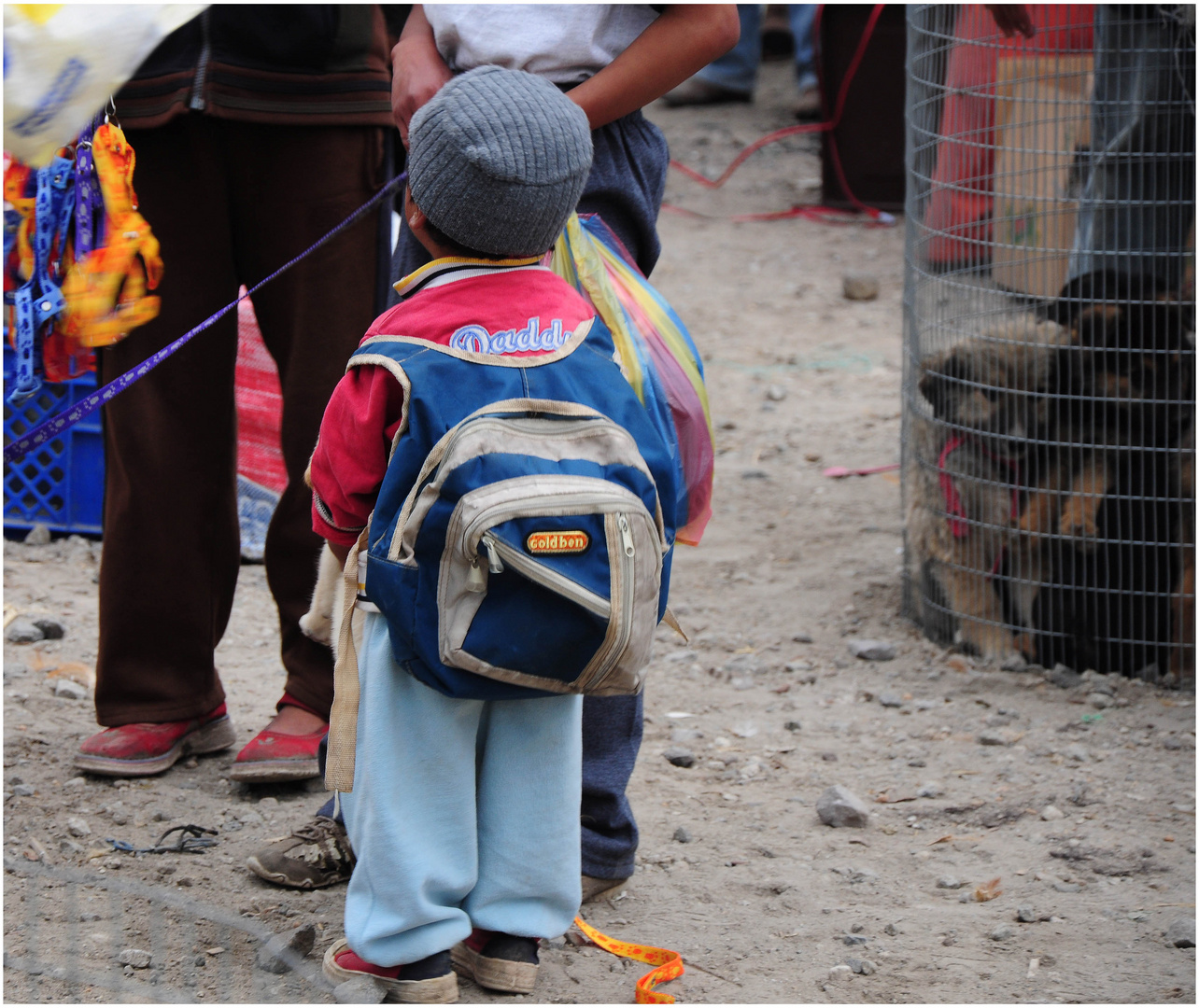 Otavalo - Mercato [14 ] niño y perros