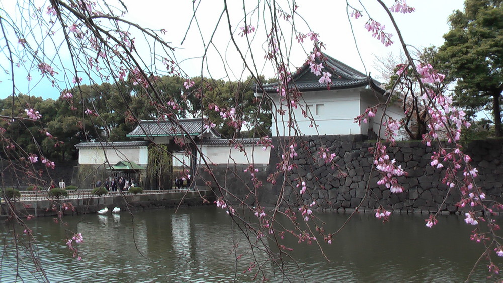 Otemon Gate in Tokyo