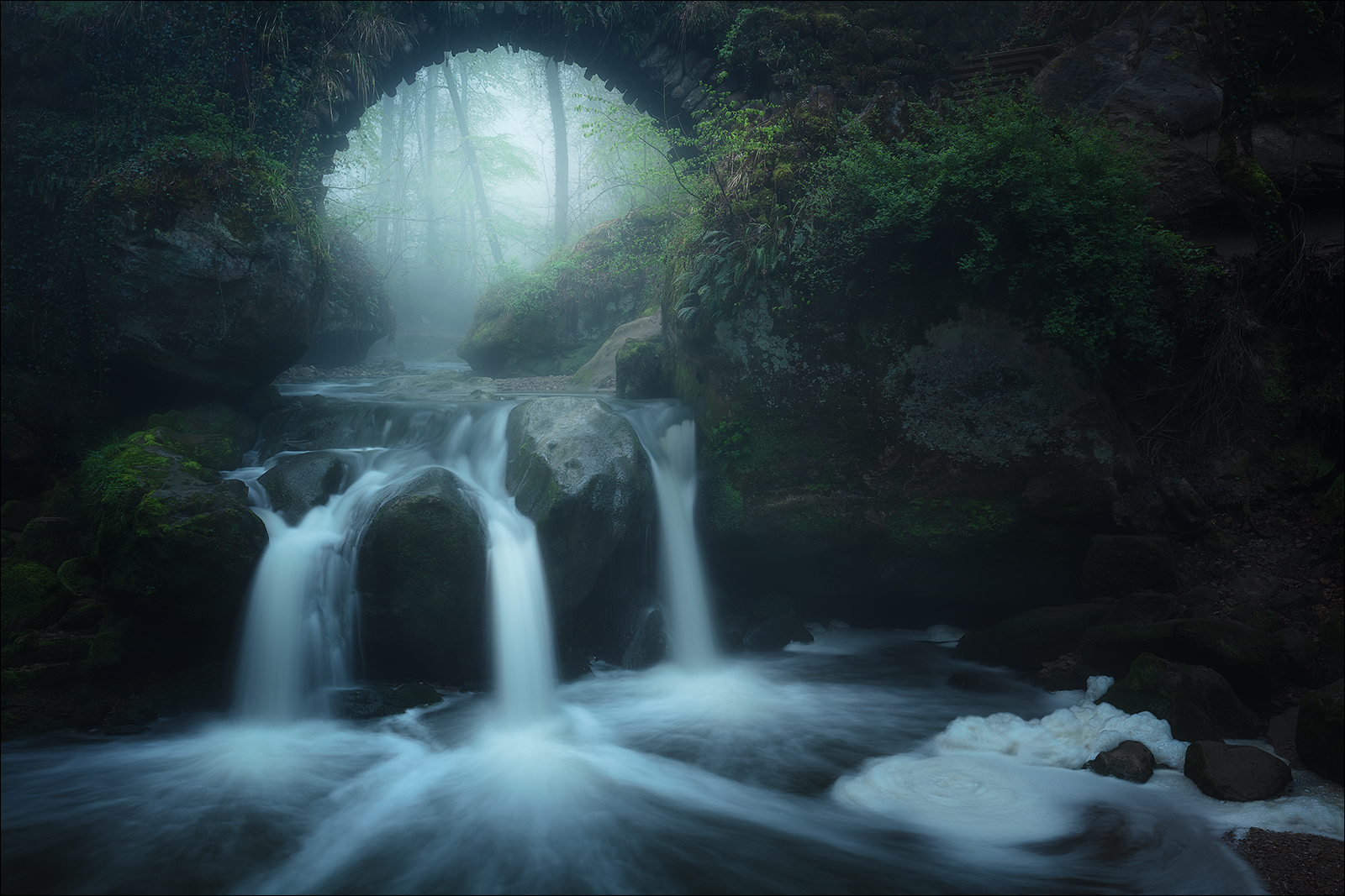 otherworld ] Foto & Bild world, wald, blau Bilder auf