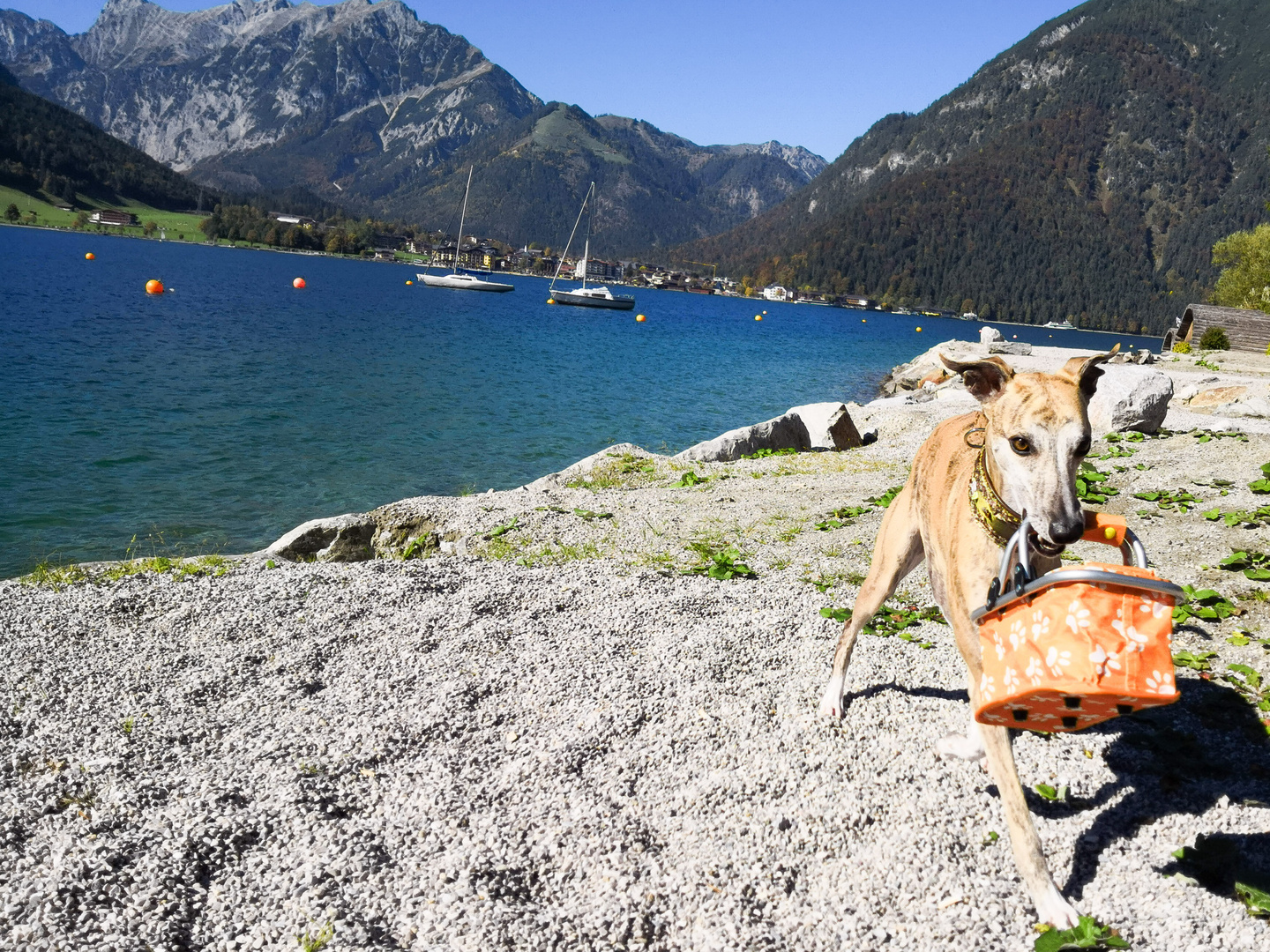 Otis am Achensee