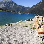 Otis am Achensee