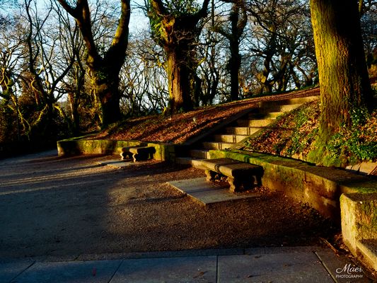 Otoñeando en el parque.