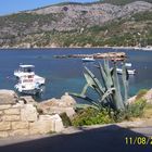 otok vis