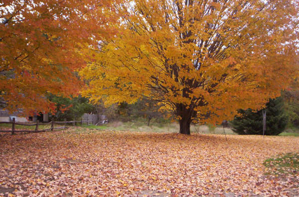 Otoño