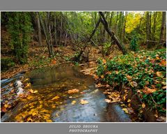 Otoño