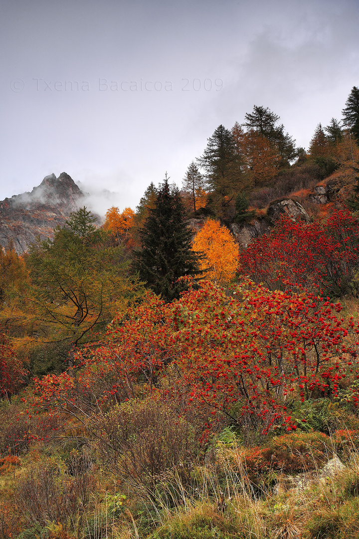 Otoño