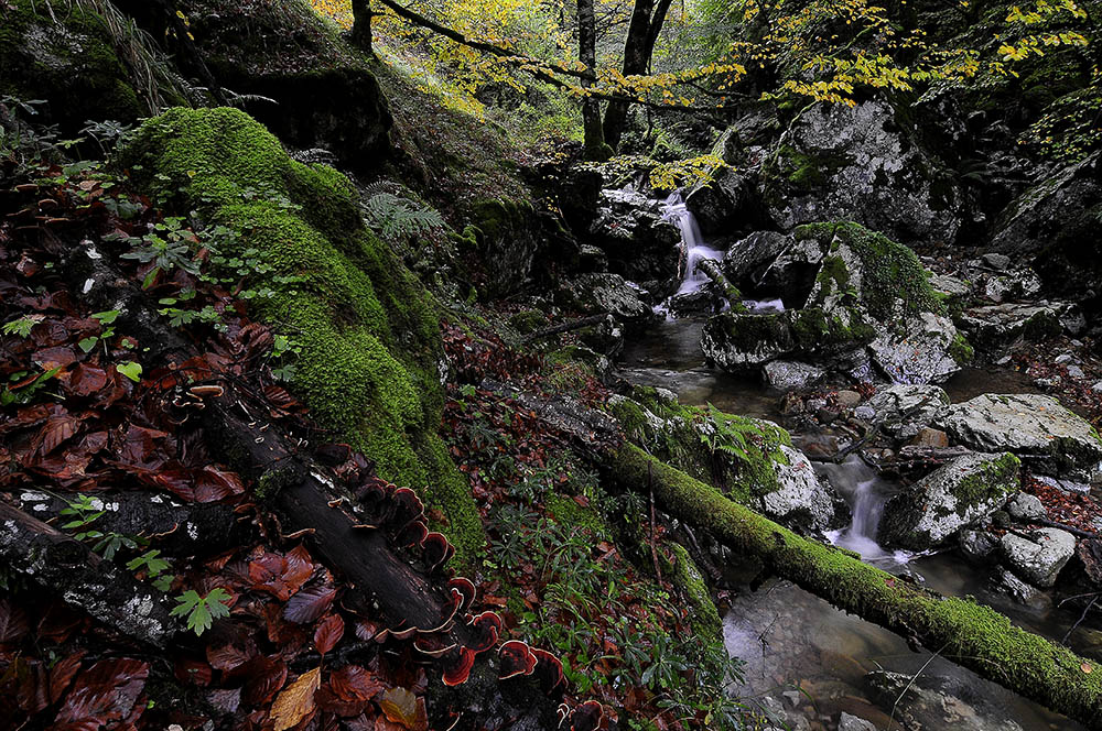 Otoño 09