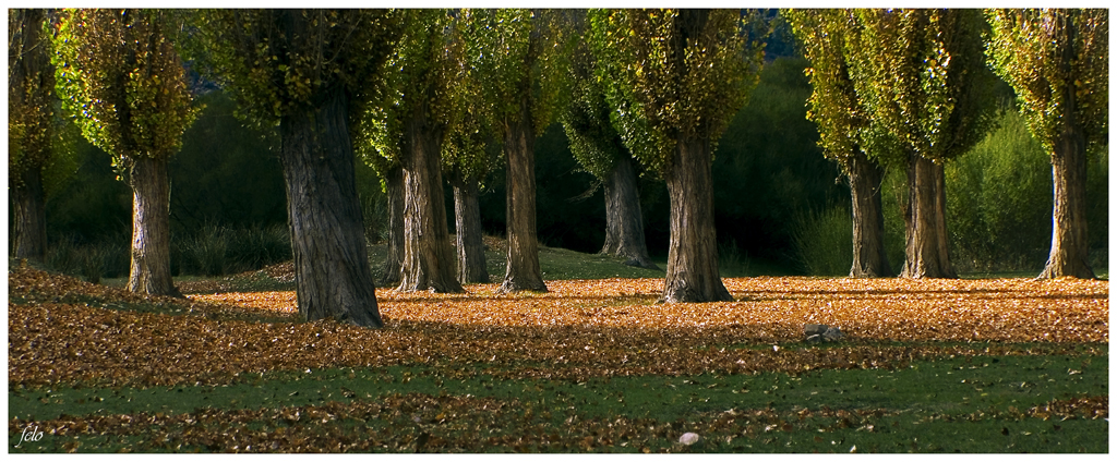 Otoño 2010 - 1