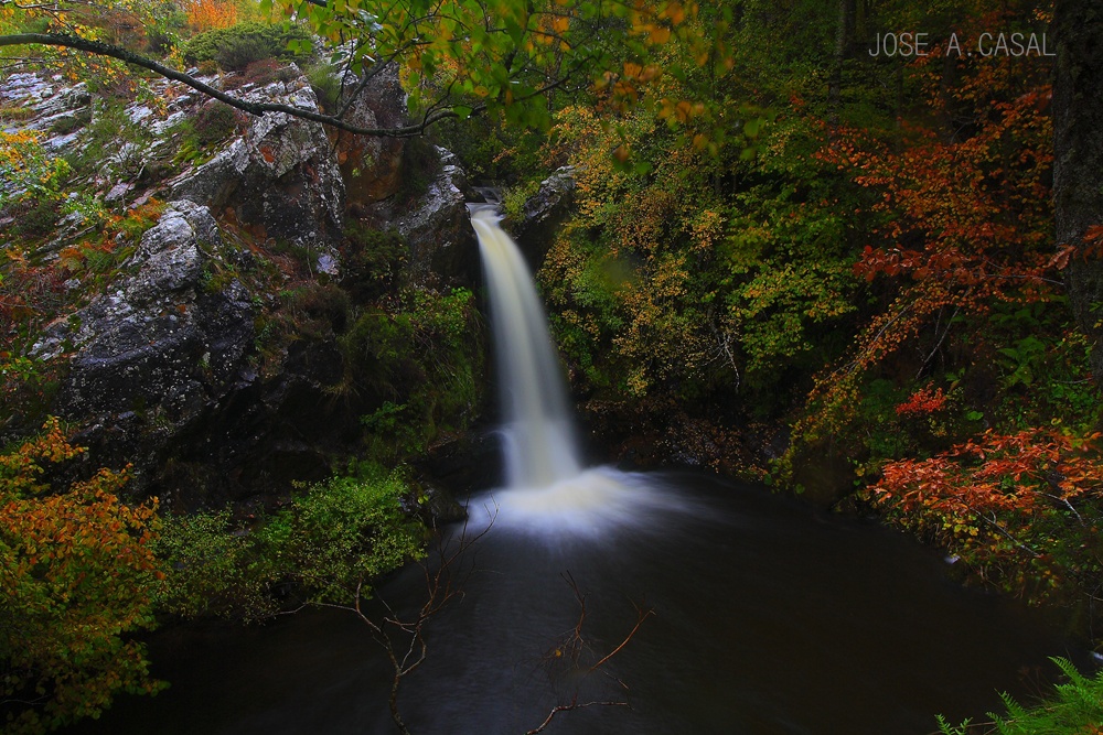 Otoño 2015