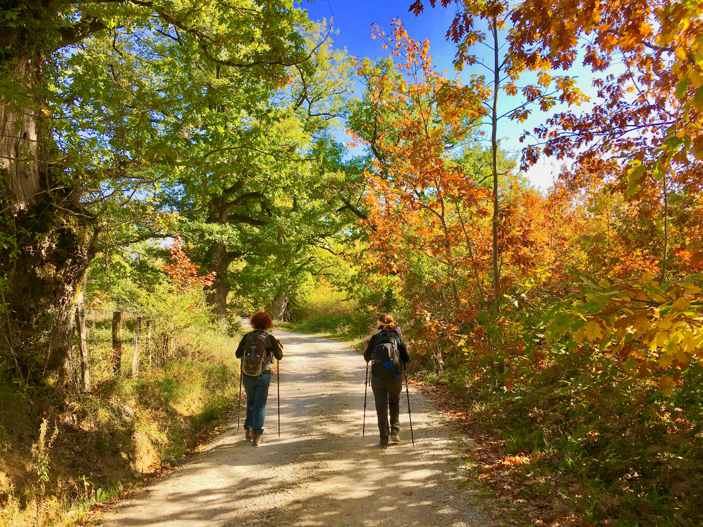 Otoño 2017 - 1