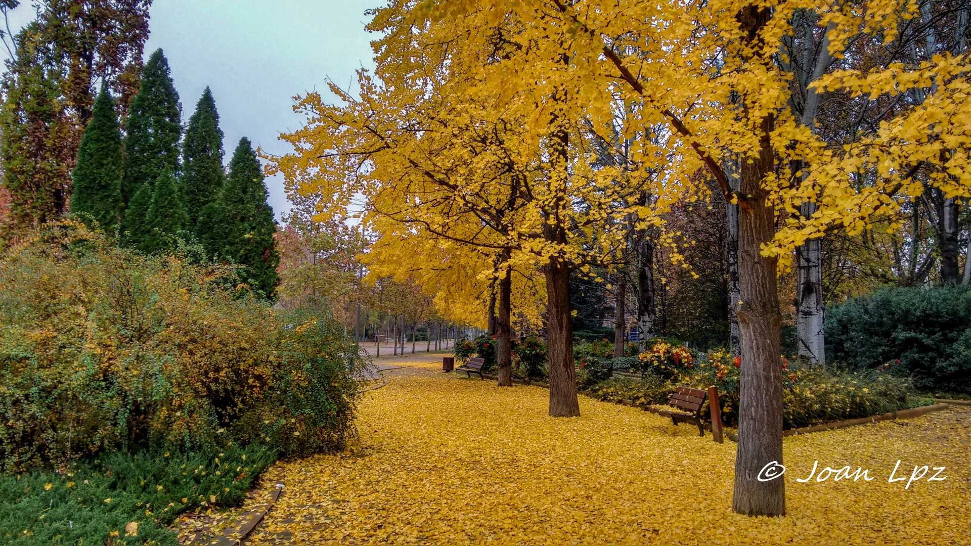 Otoño, 2018