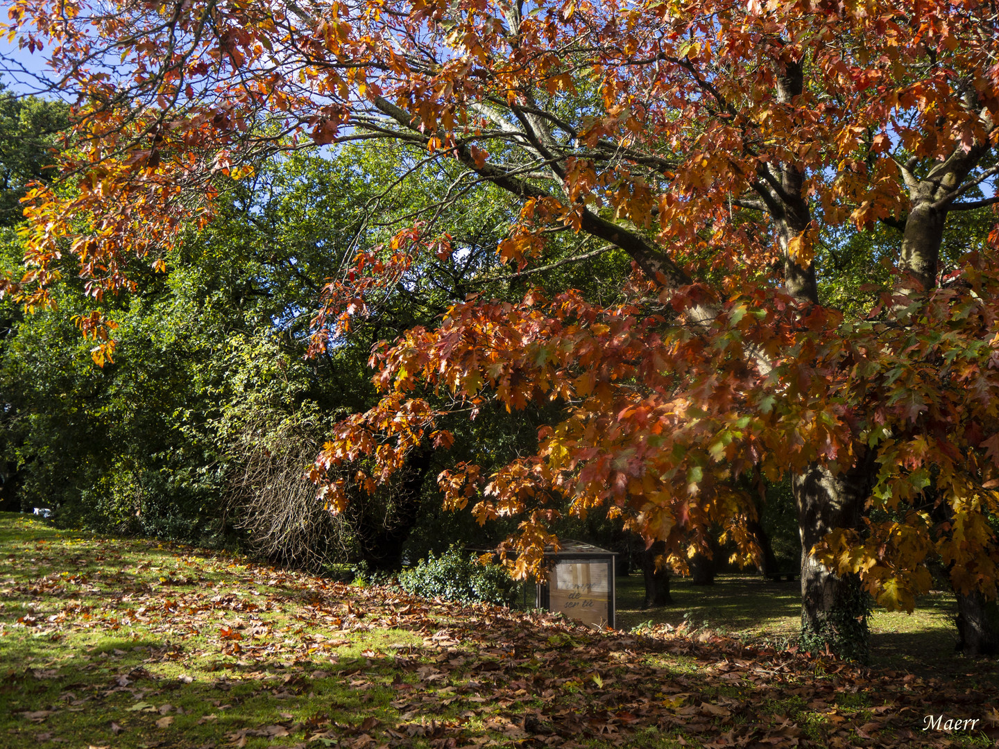 Otoño 2018