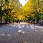 Otoño 2021. Paseo de La Alameda.