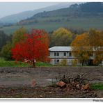 Otoño