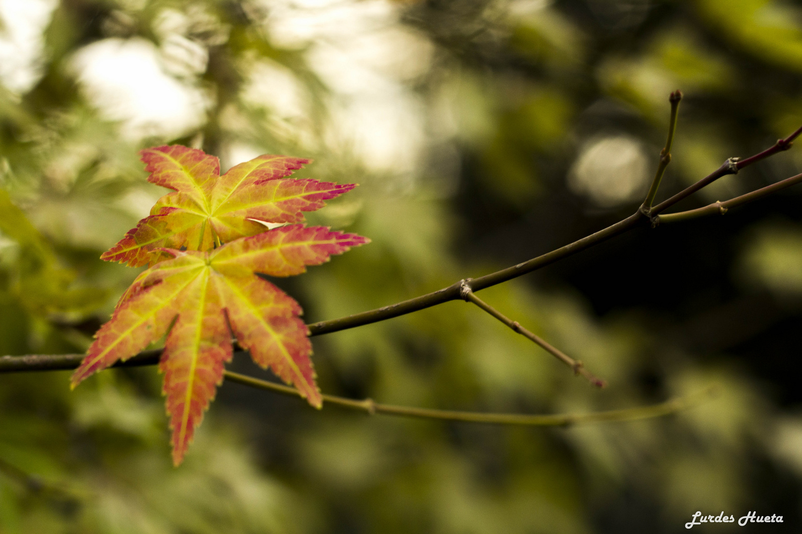 Otoño