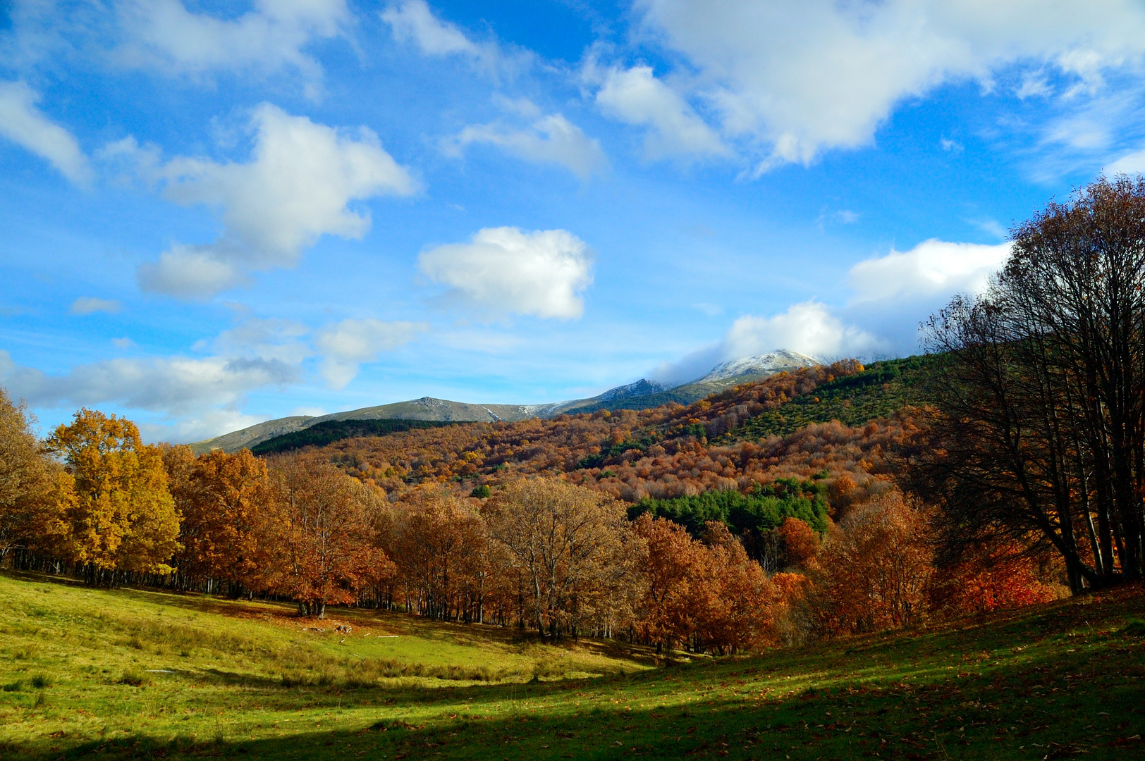 Otoño