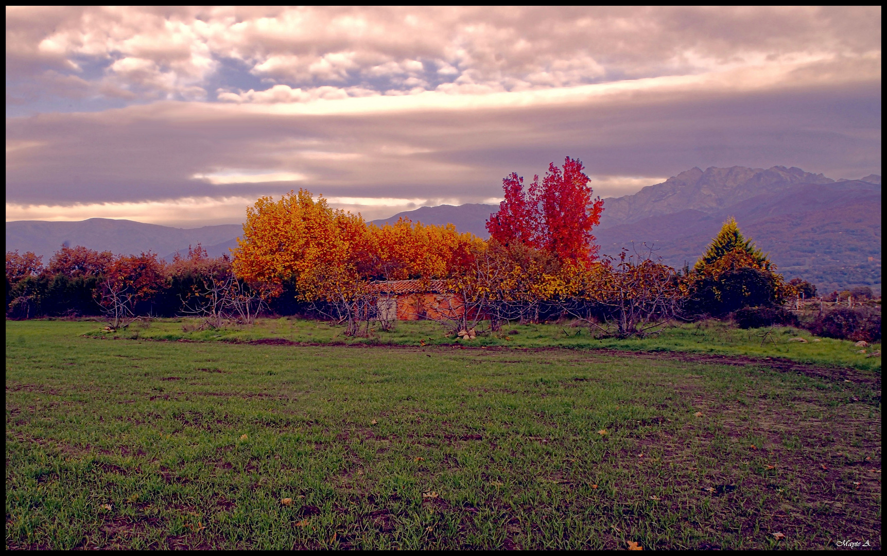 Otoño..