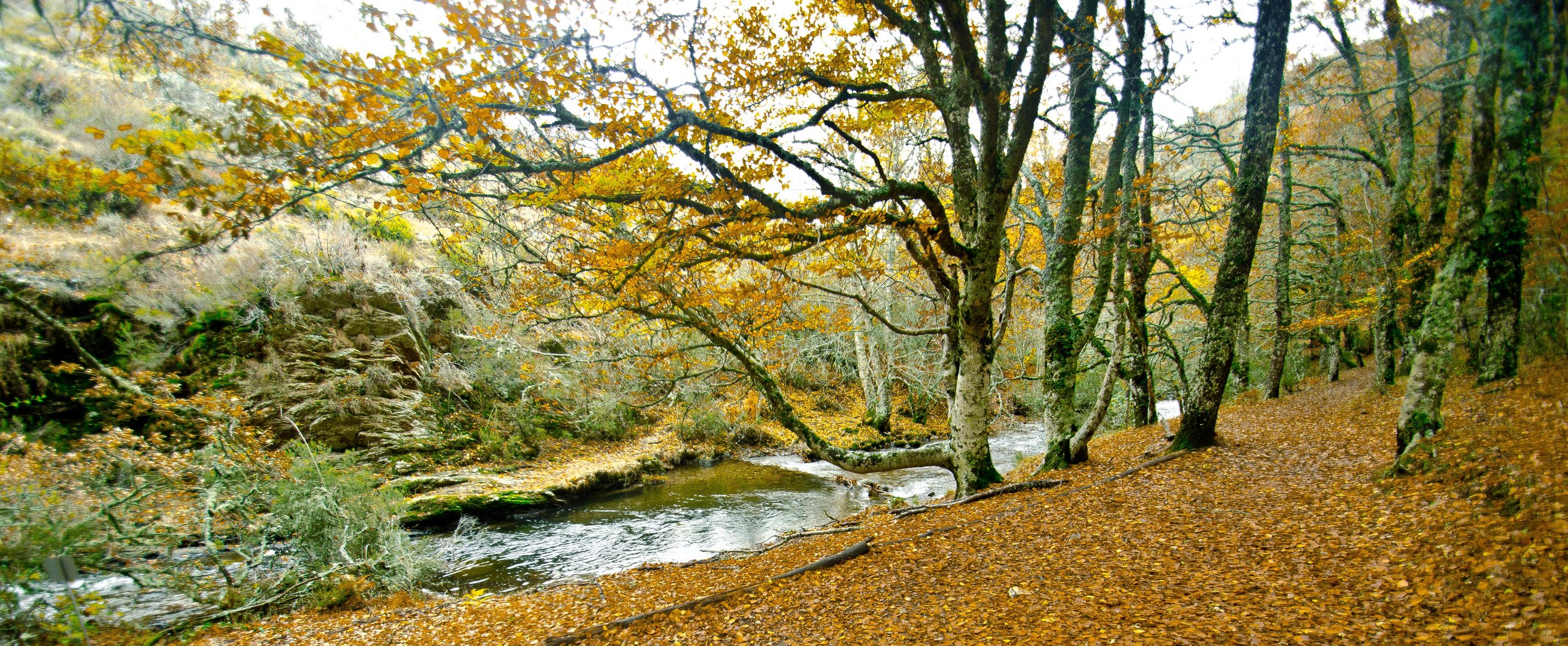 Otoño