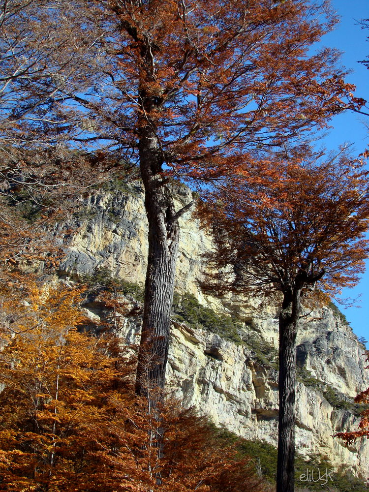 Otoño al sur