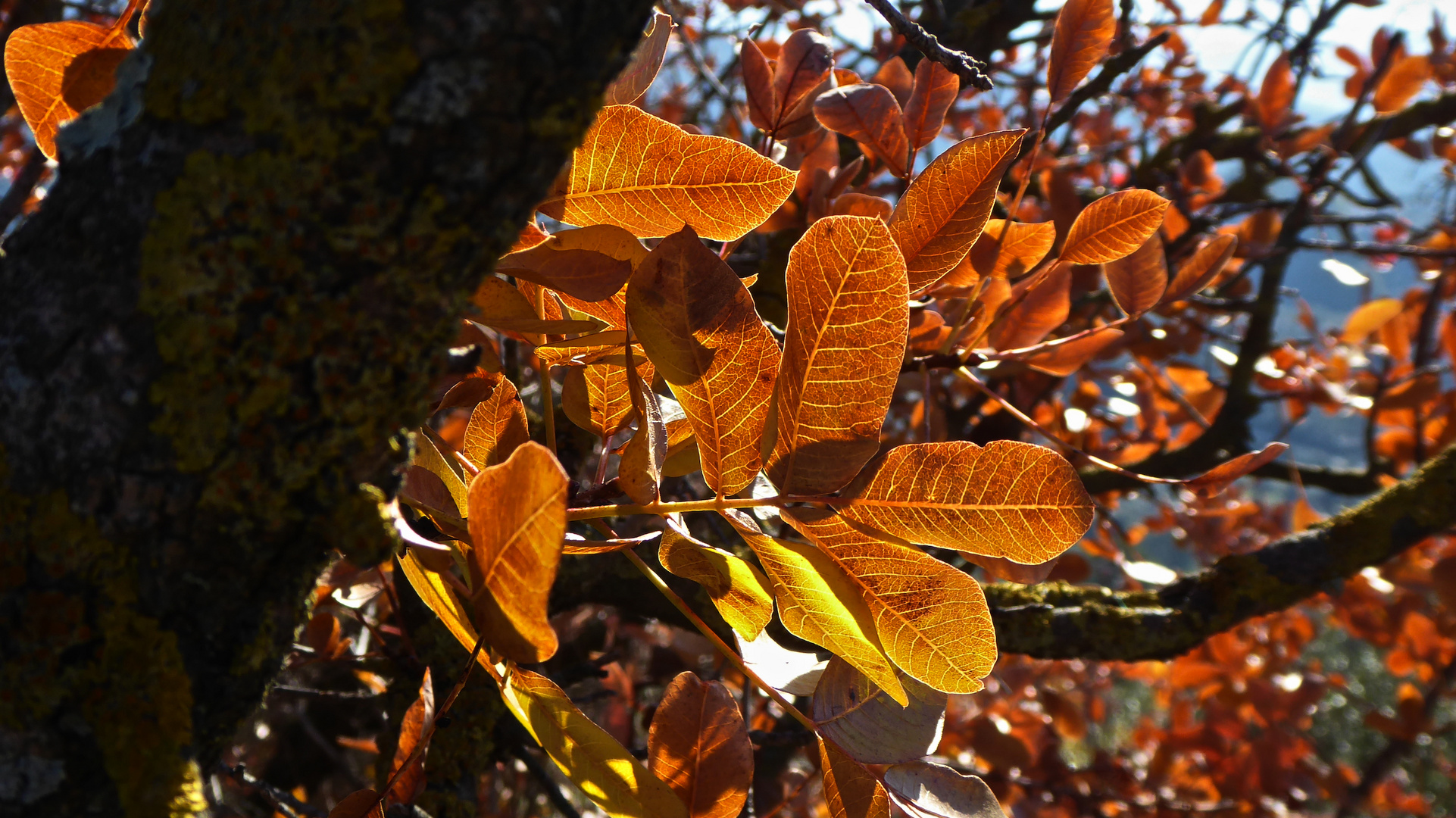 Otoño, así de claro !