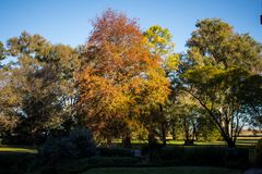 Otoño austral