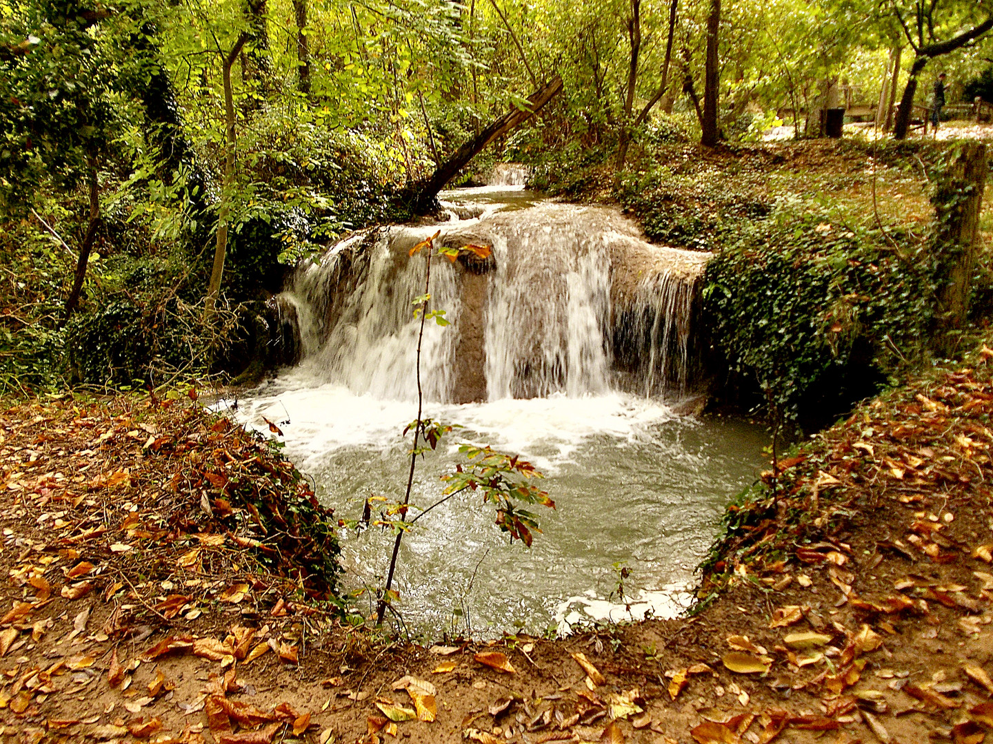 Otoño